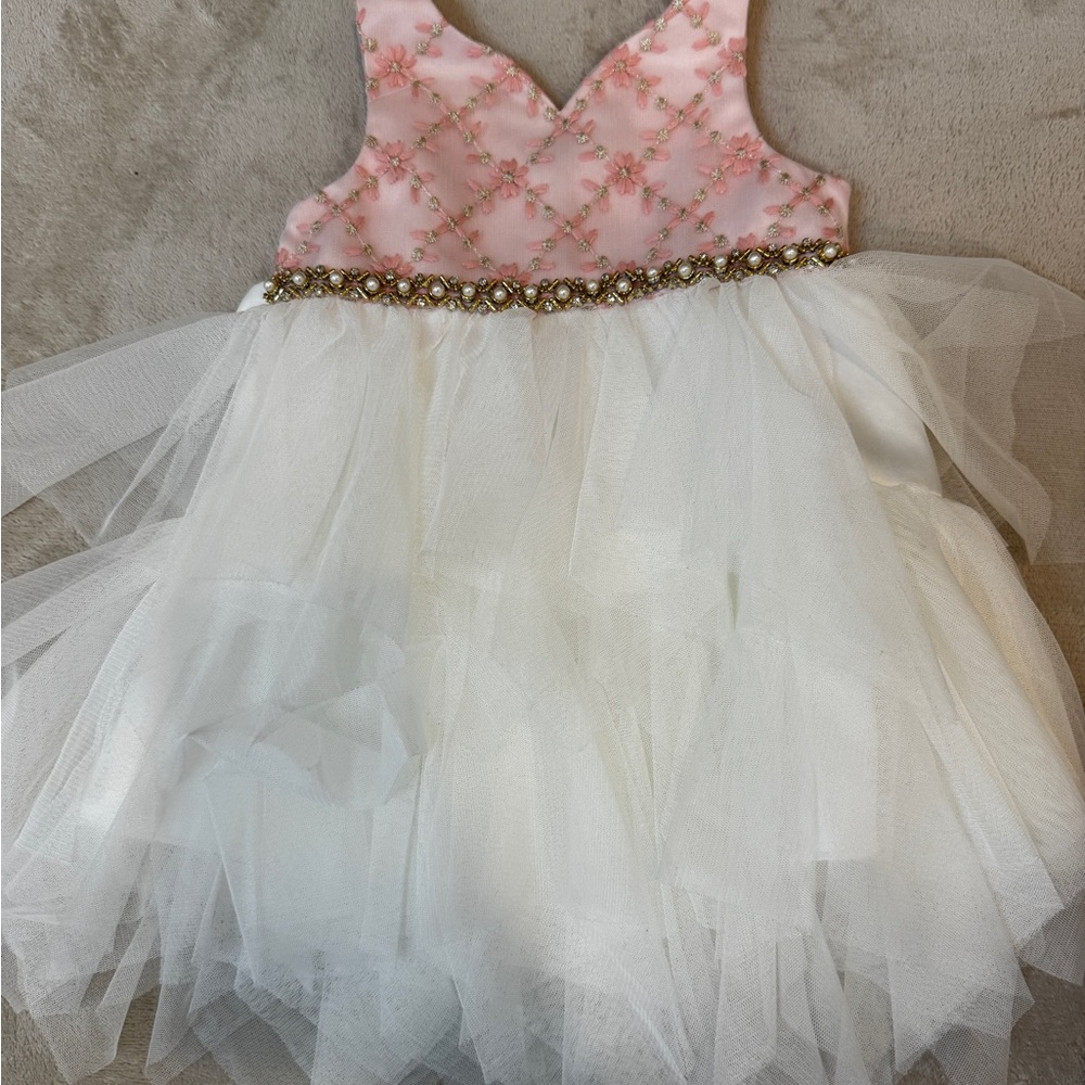 Pink and White Tulle Dress with Floral Embroidery (couture princess)
